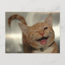 Postal Gato de jengibre feliz en invierno