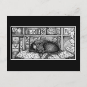 Postal Gato de la biblioteca de Victoria