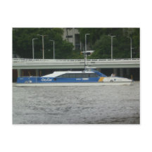 Gato de la ciudad de Brisbane