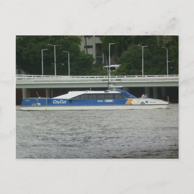 Postal Gato de la ciudad de Brisbane (Anverso)