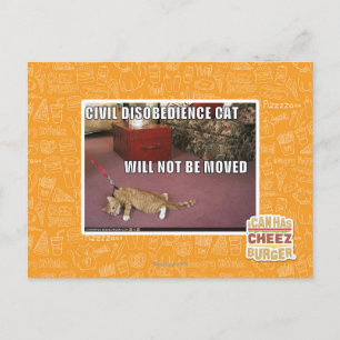 Postal Gato de la desobediencia civil