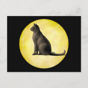 Postal Gato de la Luna