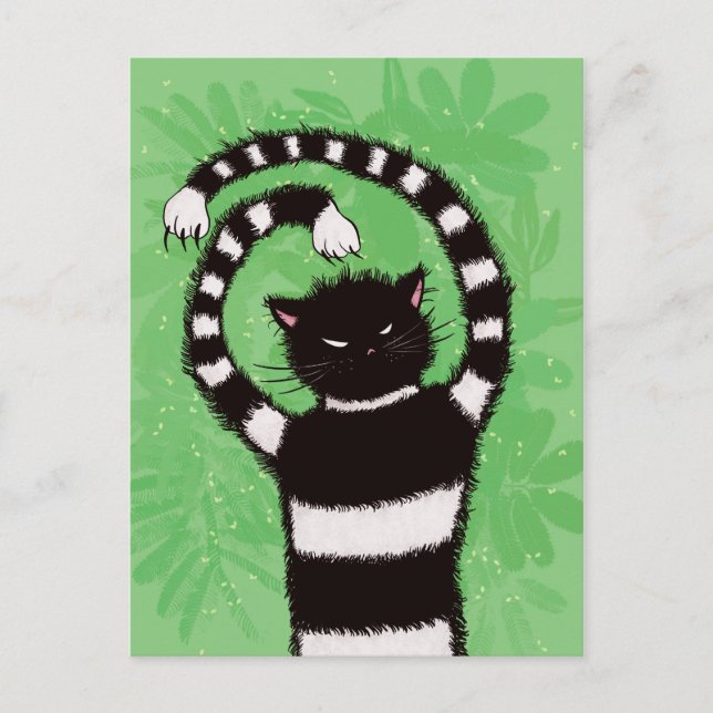 Postal Gato de la naturaleza gitana malvado (Anverso)