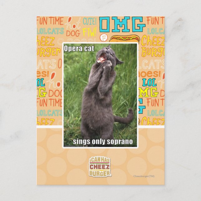 Postal Gato de la ópera (Anverso)