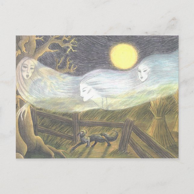 Postal Gato de la placa negra 5 de 7 (Anverso)