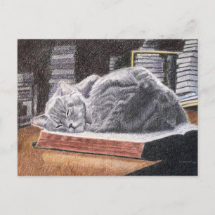 Postal Gato de librería