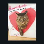 Postal Gato de los rompecorazones<br><div class="desc">Ahora su gato puede seguir en los pawprints venerables de las estrellas felinas más brillantes del Internet. Modifique este diseño para requisitos particulares cargando la foto de su gato y dé vuelta inmediatamente a su gato en una celebridad del Internet. (Los diseños inspiraron por cómo hacer su gato un libro...</div>
