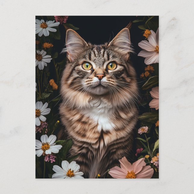 Postal Gato de Maine Coon rodeado de flores (Anverso)