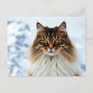 Postal Gato de Maine en un retrato salvaje de nieve