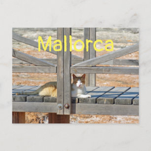 Postal Gato de Mallorca