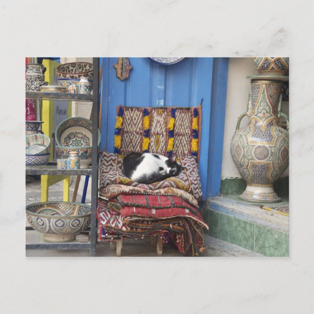 Postal Gato de Marrakesh (Anverso)