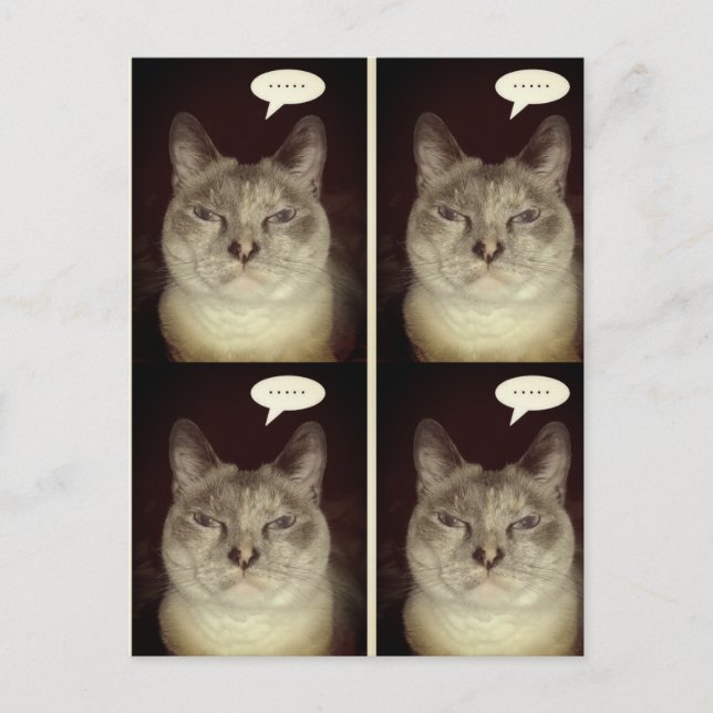 Postal Gato de Moody (Anverso)