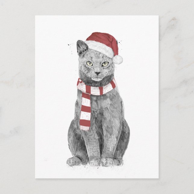 Postal Gato de Navidad (Anverso)