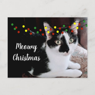 Postal Gato de Navidad
