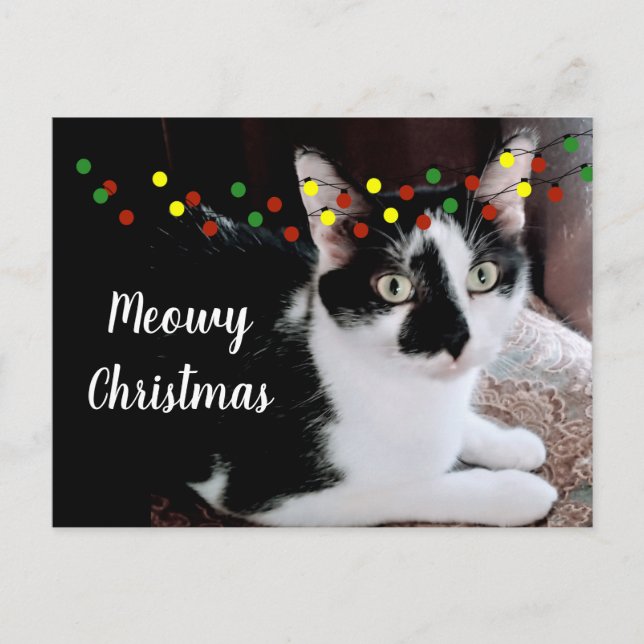 Postal Gato de Navidad (Anverso)