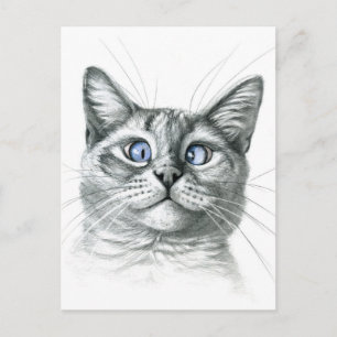 Postal Gato de ojos cruzados G122