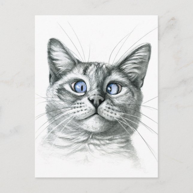 Postal Gato de ojos cruzados G122 (Anverso)