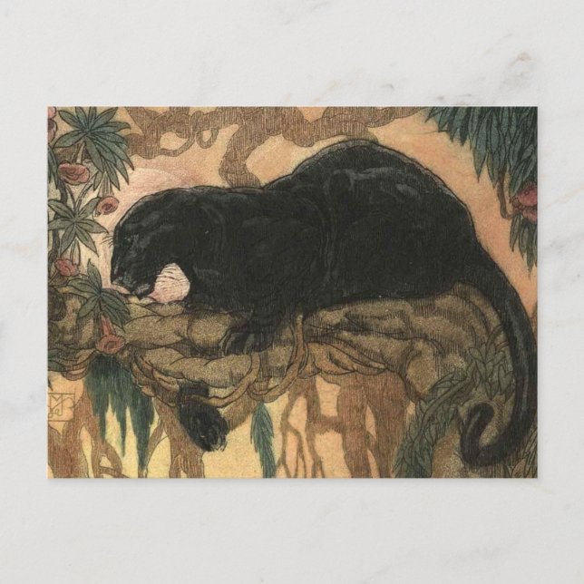 Postal Gato de pantera negra vintage (Anverso)