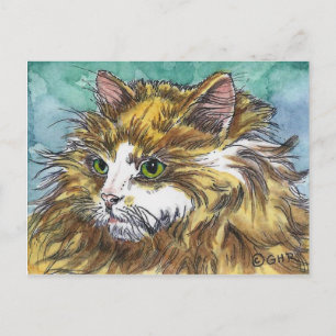 Postal Gato de pelo largo naranja y blanco