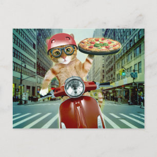 Postal Gato de pizza - gatito - entrega de pizza