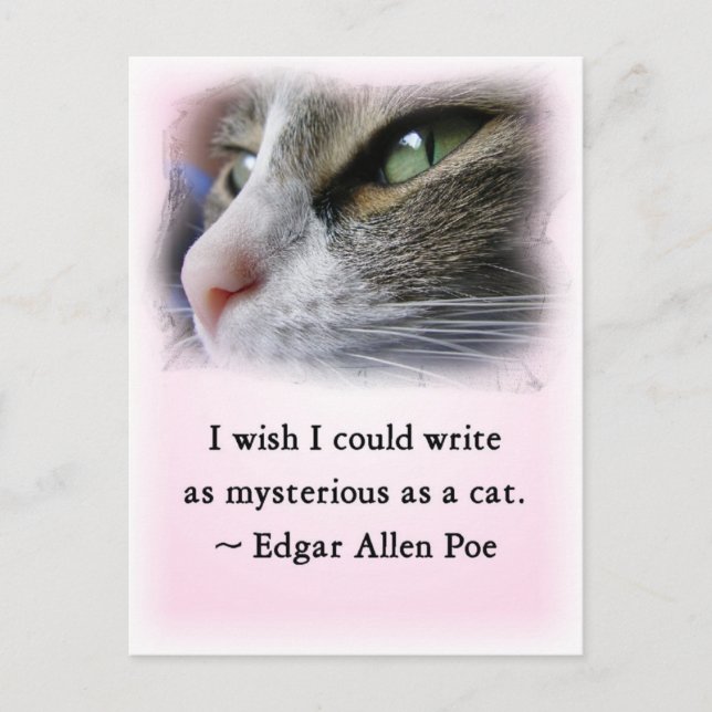 Postal Gato de Poe (Anverso)