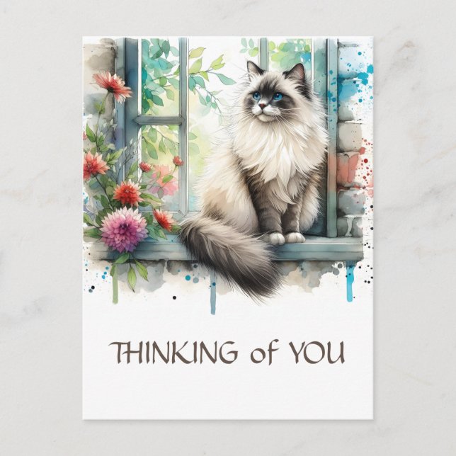 Postal Gato de Ragdoll Beige en la ventana con flores de  (Anverso)