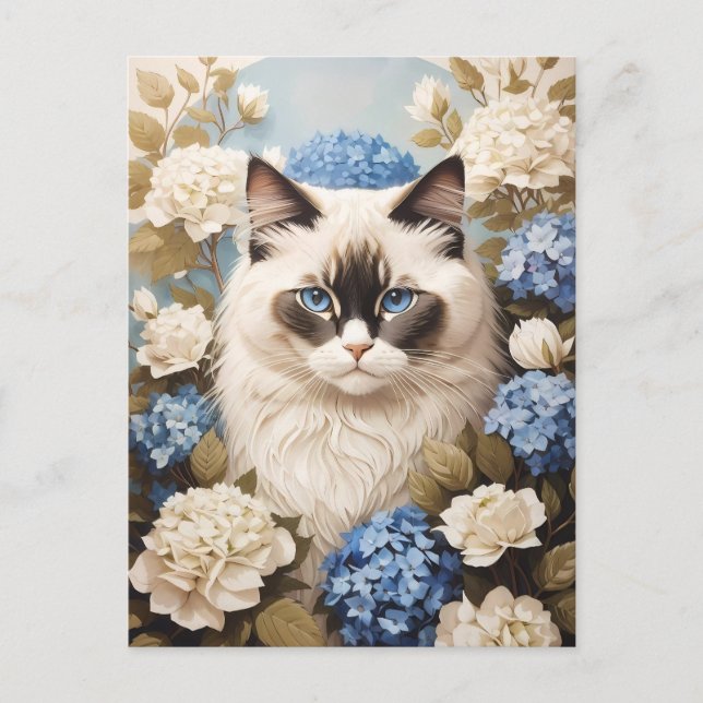 Postal Gato De Ragdoll Con Flores De Hidrangea Azul (Anverso)