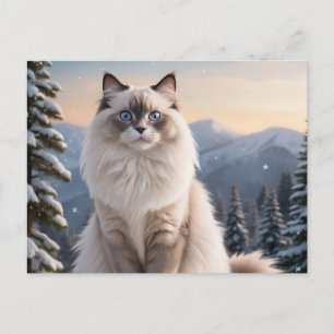 Postal Gato de Ragdoll en montaña nevada con invierno ser