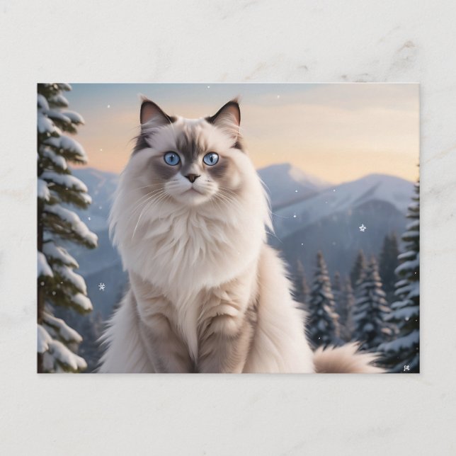 Postal Gato de Ragdoll en montaña nevada con invierno ser (Anverso)