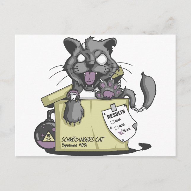 Postal Gato de Schrodinger - Nuevo (Anverso)