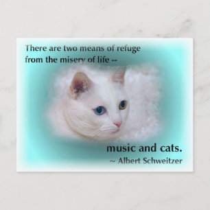 Postal Gato de Schweitzer