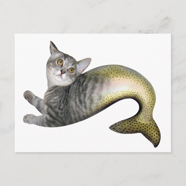 Postal Gato de sirena (Anverso)