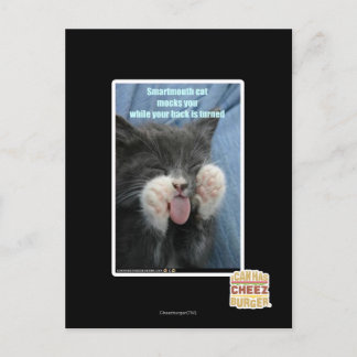 Postal Gato de Smartmouth