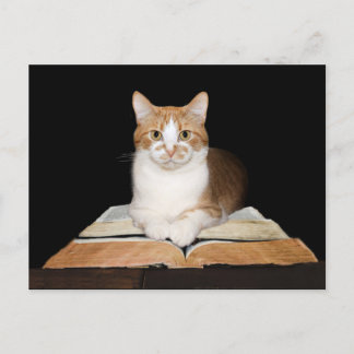 Postal Gato de tabby educado o bibliotecario