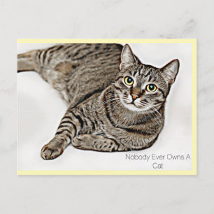 Postal Gato De Tabby "Nadie Nunca Tiene Un Gato"  