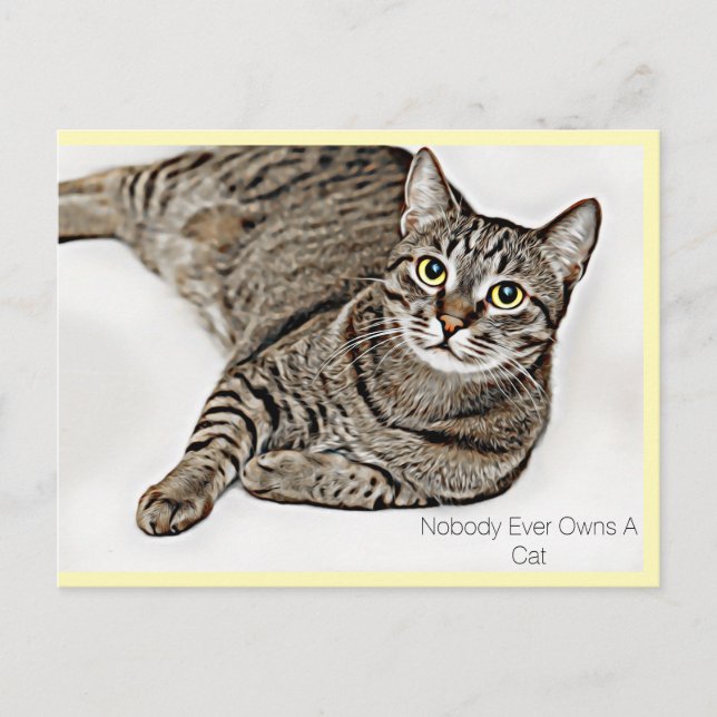 Postal Gato De Tabby "Nadie Nunca Tiene Un Gato" | (Anverso)