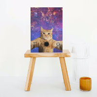 Gato de Tabby rojo se toma un selfie en el espacio