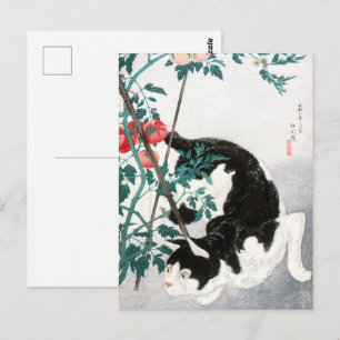 Postal Gato de Takahashi con la planta de tomate arte jap