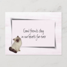 Postal Gato de trapo Simpatía por mascota fallecida