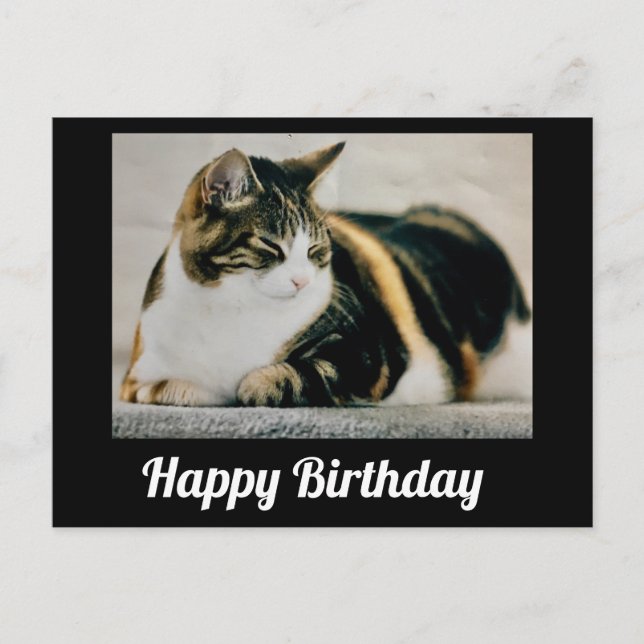 Postal Gato de Tres Colores Dormilón Feliz Cumpleaños (Anverso)