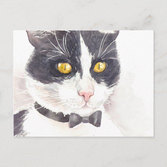 Postal Gato de Tuxedo (Anverso)