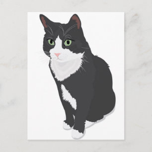 Postal Gato de Tuxedo
