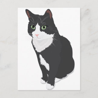 Postal Gato de Tuxedo