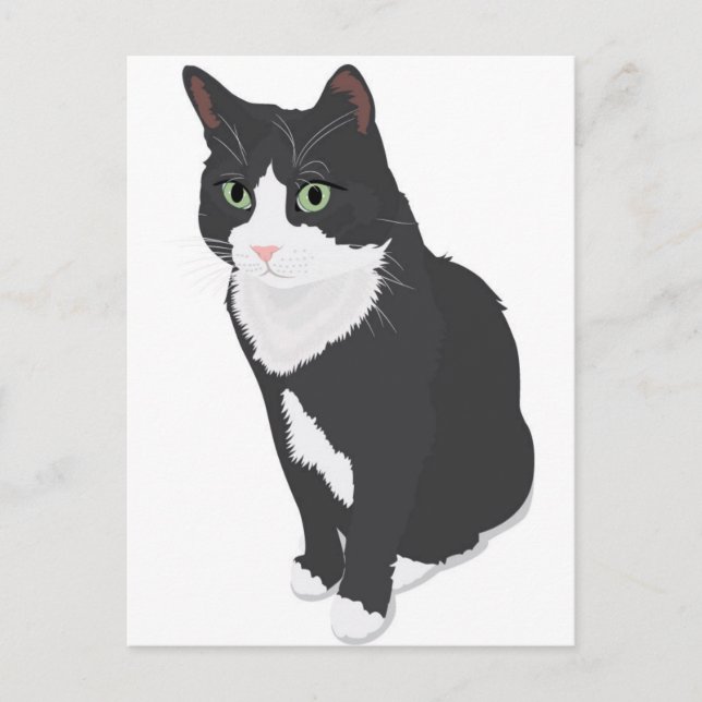 Postal Gato de Tuxedo (Anverso)