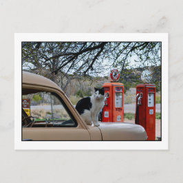 Postal Gato de Tuxedo, Museo de la Estación de Gasolina d