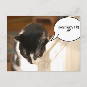 Postal gato de tuxedo negro y blanco