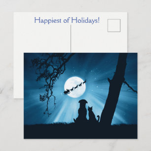 Postal Gato de vacaciones, perro y Papá Noel