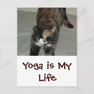 Postal Gato de yoga