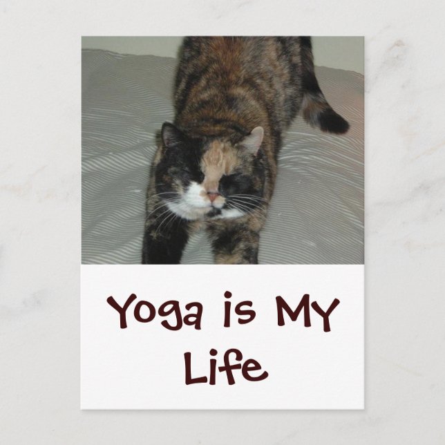 Postal Gato de yoga (Anverso)