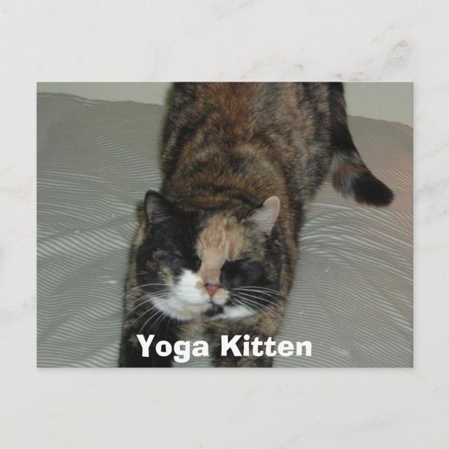Postal Gato de yoga calico (Anverso)